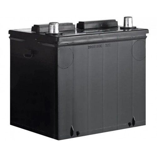 Polaris Battery (4014132)