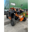 POLARIS RZR PRO XP 