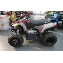 Polaris Phoenix 200 - Avalanche Grey